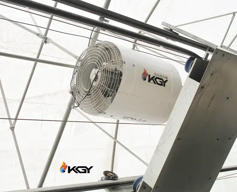 فن سیرکوله چیست؟