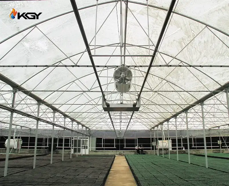 نکات مهم خرید فن سیرکوله گلخانه