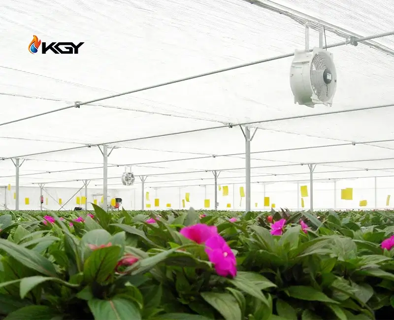 ساختار فن سیرکوله گلخانه