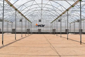 روش‌های بهینه برای استفاده از سیستم فن و پد گلخانه