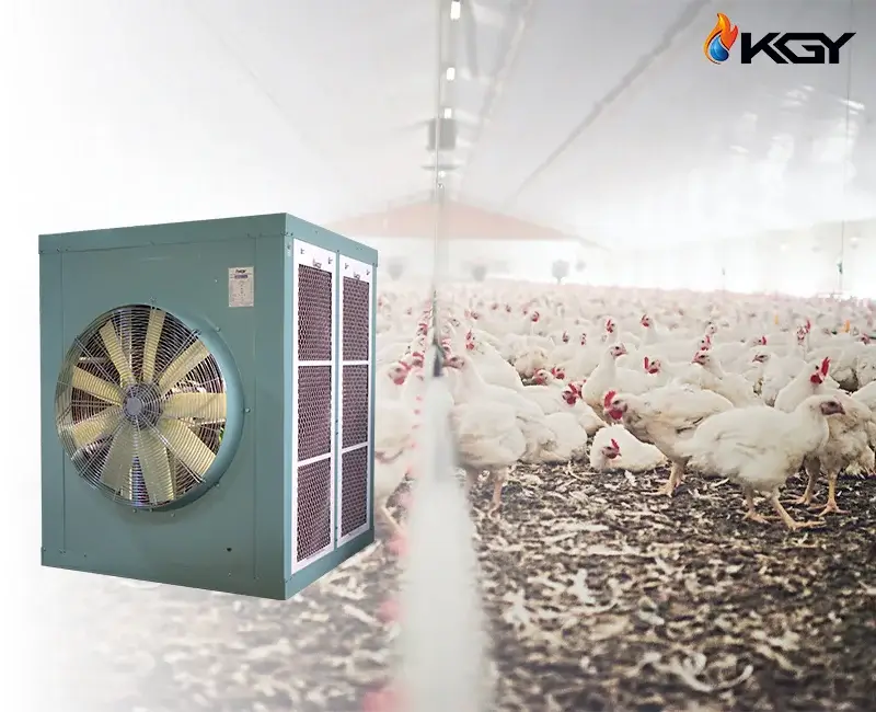 راهنمای جامع انتخاب و نصب کولر مرغداری 4 اهمیت استفاده از کولر در مرغداریها