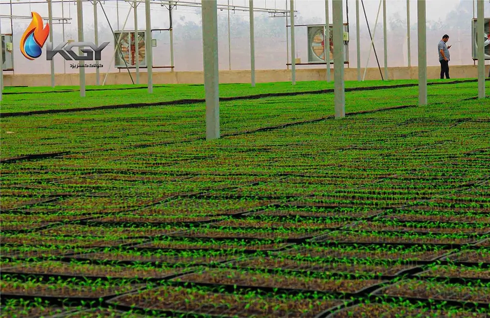 فن خروجی هوا یا اگزاست فن چیست؟ کاربرد، مزایا و انواع مختلف اگزاست فن 5 اگزاست فن