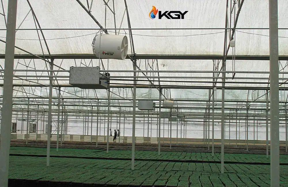 انواع فن‌های سیرکوله گلخانه