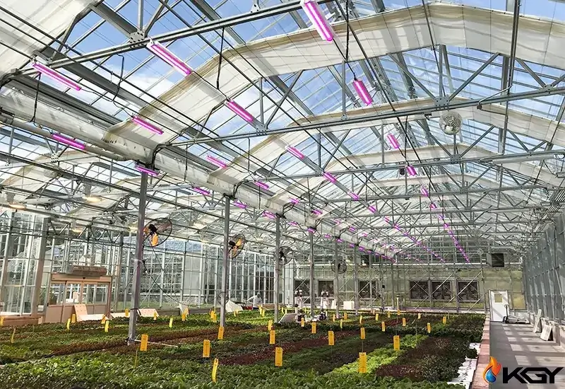 اصول سرمایش گلخانه | هر آنچه باید در مورد سرمایش گلخانه بدانید 5 اهمیت سرمایش گلخانه