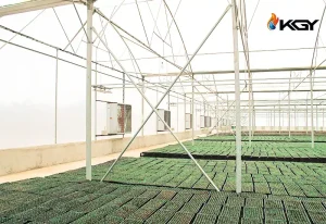 اصول سرمایش گلخانه | هر آنچه باید در مورد سرمایش گلخانه بدانید 2 سرمایش گلخانه