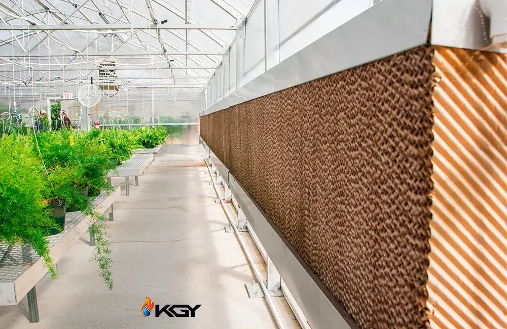 سرمایش گلخانه ها کولاک گستر یزد