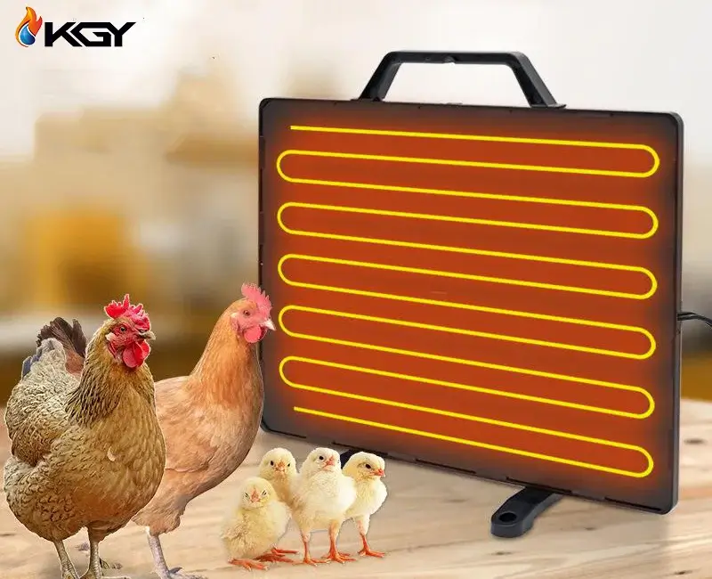 راهنمای خرید بهترین هیتر مرغداری و مقایسه هیترهای مرغداری 1 هیتر در مرغداری کولاک گستر یزد