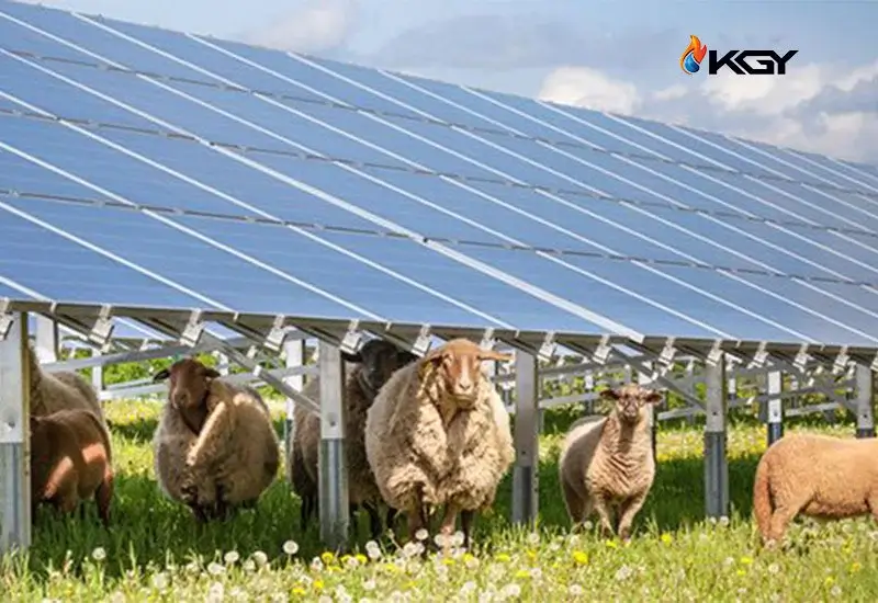 بهترین هیتر دامداری | راهنمای جامع خرید بهترین هیتر برای دامداری ها 7 هیتر برای دامداری ها کولاک گستر یزد