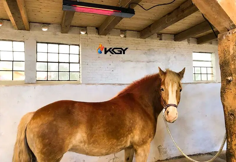 بهترین هیتر دامداری | راهنمای جامع خرید بهترین هیتر برای دامداری ها 5 هیتر دامداری