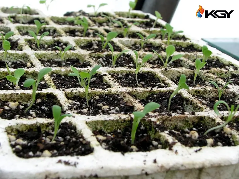 کاربردهای متنوع نشاء پیوندی