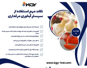 نکات مهم در انتخاب و استفاده از آبخوری مرغداری