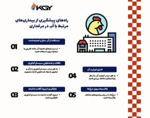 راه‌های پیشگیری از بیماری‌های مرتبط با آب در مرغداری