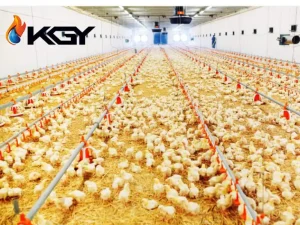 سیستم دانخوری بشقابی اتوماتیک از مزایا تا 9 مرحله ی نصب و نگهداری 3 فرآیند انتقال و توزیع دان سسیتم دانخوری بشقابی اتوماتیک