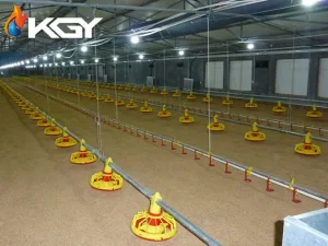 سیستم دانخوری بشقابی اتوماتیک از مزایا تا 9 مرحله ی نصب و نگهداری 4 انتخاب سیستم دانخوری بشقابی اتوماتیک