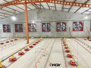 تهویه در مرغداری : راهنمای جامع تهویه مرغداری و تاثیر تهویه مرغداری برای افزایش 20 درصدی سود 4 تهویه مرغداری کولاک گستر یزد