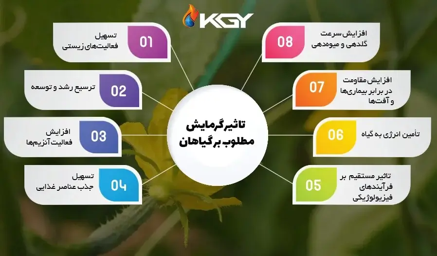 روشهای گرمایش گلخانه و کنترل اصولی دمای محیط گلخانه 2 تاثیر گرمایش بر گیاه