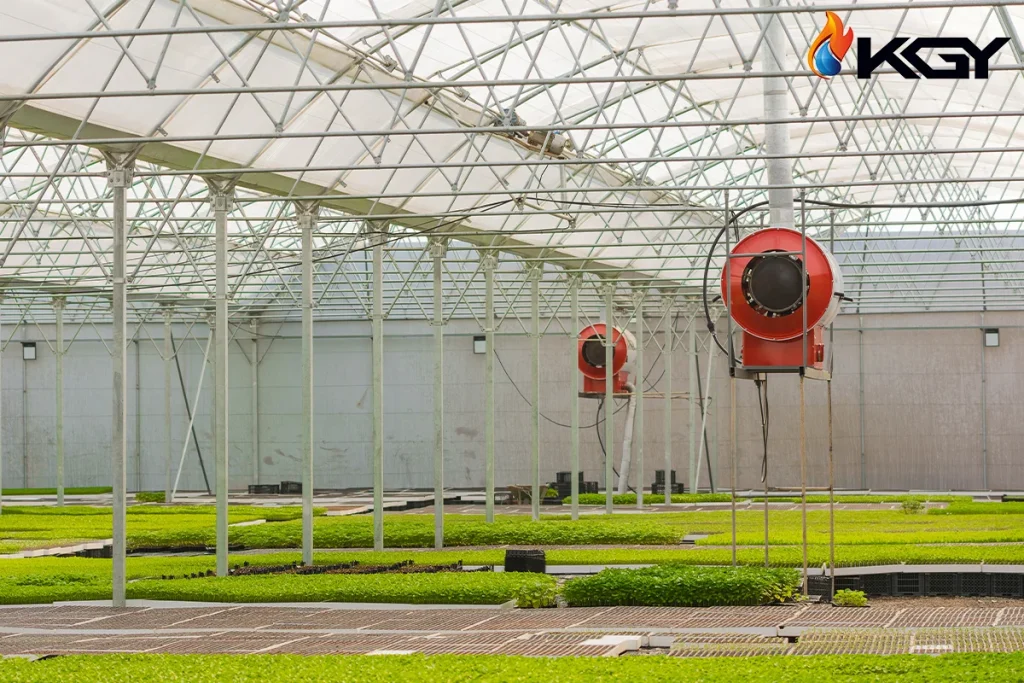 هیتر گلخانه