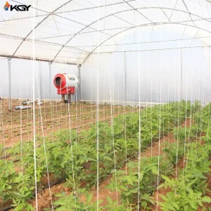 پروژه اجرایی برای گلخانه در کاشان