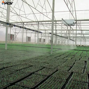 تجهیز گلخانه مدرن شرکت کشت و صنعت افراز یزد به سیستمهای گرمایش، سرمایش و تهویه کولاک گستر یزد