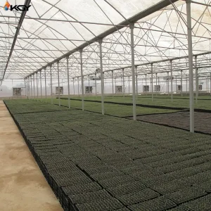 تجهیز گلخانه مدرن به سیستمهای گرمایش، سرمایش و تهویه