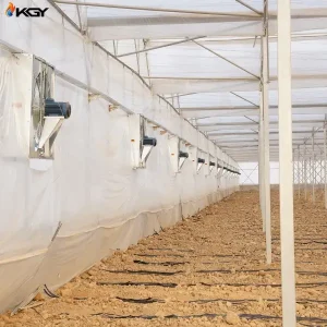 تجهیز گلخانه در خرامه به سیستمهای گرمایش و تهویه کولاک گستر یزد