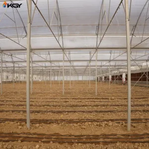 تجهیز گلخانه در خرامه به سیستمهای گرمایش و تهویه