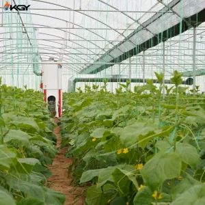 تجهیز گلخانه در خرامه به سیستمهای گرمایش و تهویه