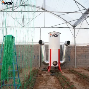 Executive-projects-of-the-greenhouse-28