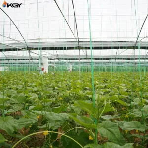 تجهیز گلخانه در خرامه به سیستمهای گرمایش و تهویه