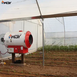 پروژه اجرایی برای گلخانه در کاشان