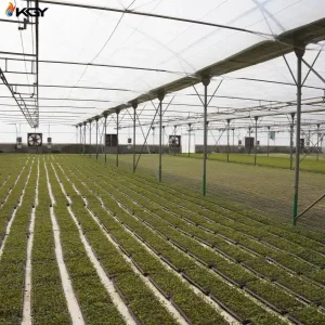 فن و هواکش در گلخانه برای تهویه هوا