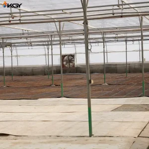 تجهیز گلخانه در کرج به سیستمهای گرمایشی و تهویه کولاک گستر یزد