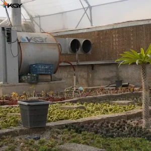 تجهیز گلخانه در کرج به سیستمهای گرمایشی و تهویه کولاک گستر یزد