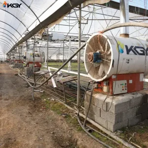 تجهیز گلخانه در کرج به سیستمهای گرمایشی و تهویه کولاک گستر یزد