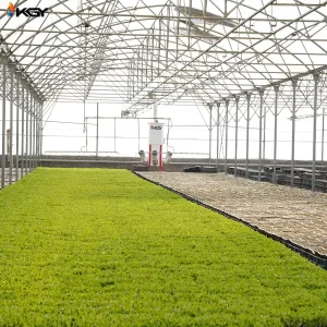 تجهیز گلخانه در کرج به سیستمهای گرمایشی و تهویه کولاک گستر یزد