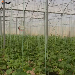 تجهیز گلخانه در اصفهان به سیستمهای گرمایش کولاک گستر یزد