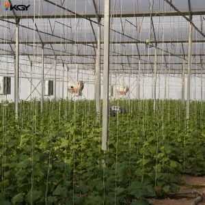 تجهیز گلخانه در اصفهان به سیستمهای گرمایش کولاک گستر یزد