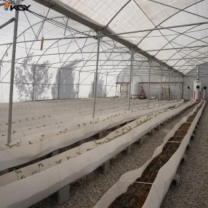 تجهیز گلخانه در اصفهان به سیستمهای گرمایش koolak gostar yazd