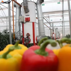 تجهیز گلخانه در اصفهان به سیستمهای گرمایش، سرمایش و تهویه