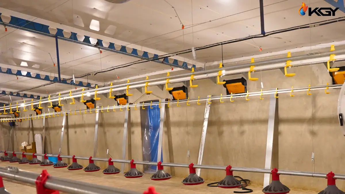 دریچه اینلت مرغداری : هرآنچه که باید بدانید 3 پنجره اینلت کولاک گستر در مرغداری