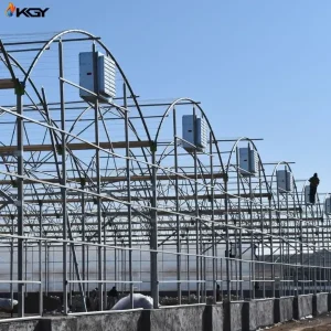 تجهیز گلخانه رز در خراسان به فنهای کولاک گستر یزد