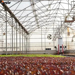 پروژه اجرایی هیتر یا بخاری گلخانه برای گلخانه در کرج