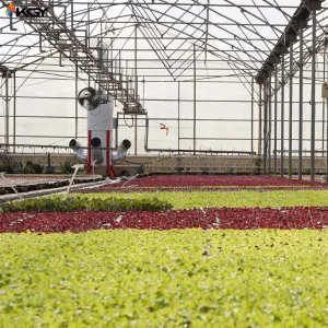 نصب و راه اندازی هیتر گلخانه در کرج