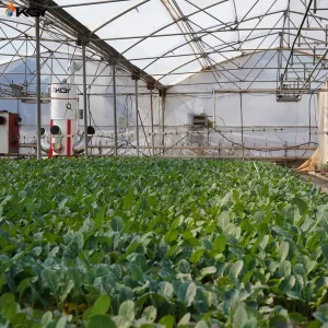 اجرای پروژه اجرایی برای گلخانه در کرج به سیستمهای گرمایشی مانند هیتر گلخانه و تهویه