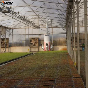 اجرای پروژه اجرایی تجهیز گلخانه در کرج به سیستمهای گرمایشی و تهویه