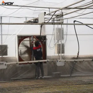 تجهیز گلخانه در کرج به سیستمهای گرمایشی و تهویه