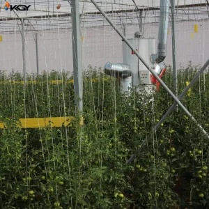 پروژه اجرایی گلخانه کولاک گستر یزد