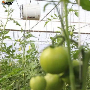 اجرای پروژه اجرایی هیتر اکو در گلخانه اقلید