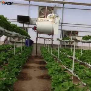 پروژه اجرایی در مهر نوآوران کشت کرج