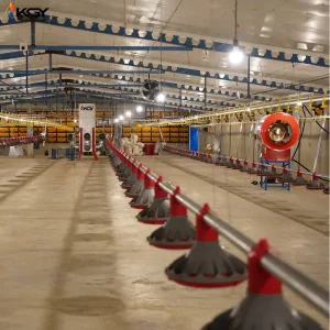 پروژه اجرایی در مرغداری میبد یزد توسط کولاک گستر یزد